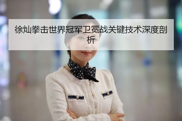 徐灿拳击世界冠军卫冕战关键技术深度剖析